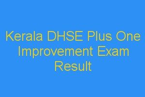 plusone-improvement-result