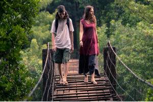 Tourists Locations in Kerala