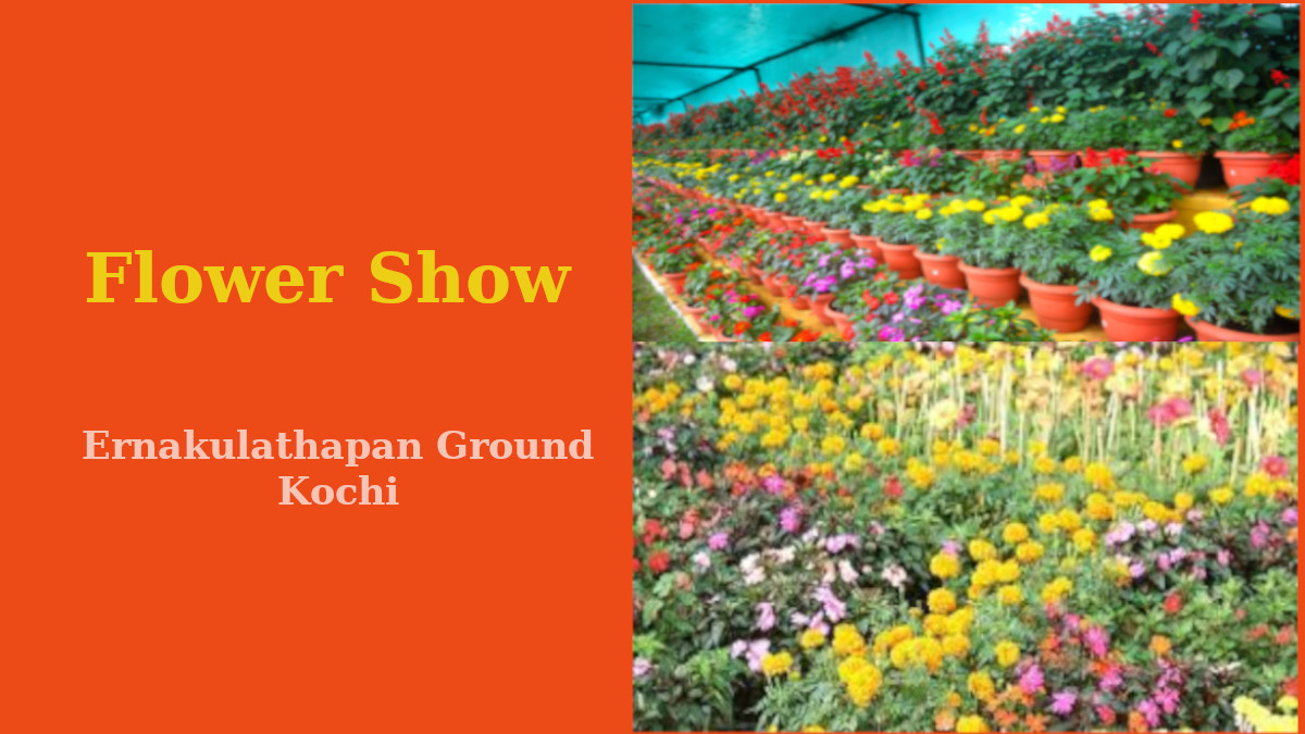 Flower Show at Ernakulathappan Ground Kochi 2022