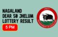 Nagaland Dear 50 Monday Lottery