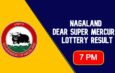 Nagaland Dear Super Sunday Lottery