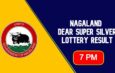 Nagaland Dear Super Friday Lottery Result