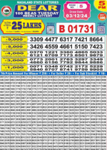 Nagaland Dear 100 Result 03.12.2024