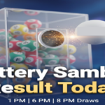 Nagaland Lottery Result Today Released Check at nagalandlotteries.com